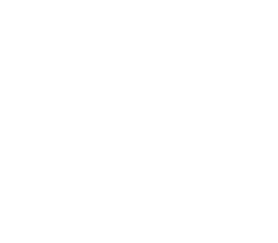 Logo Vista sua Dança footer │ VSD